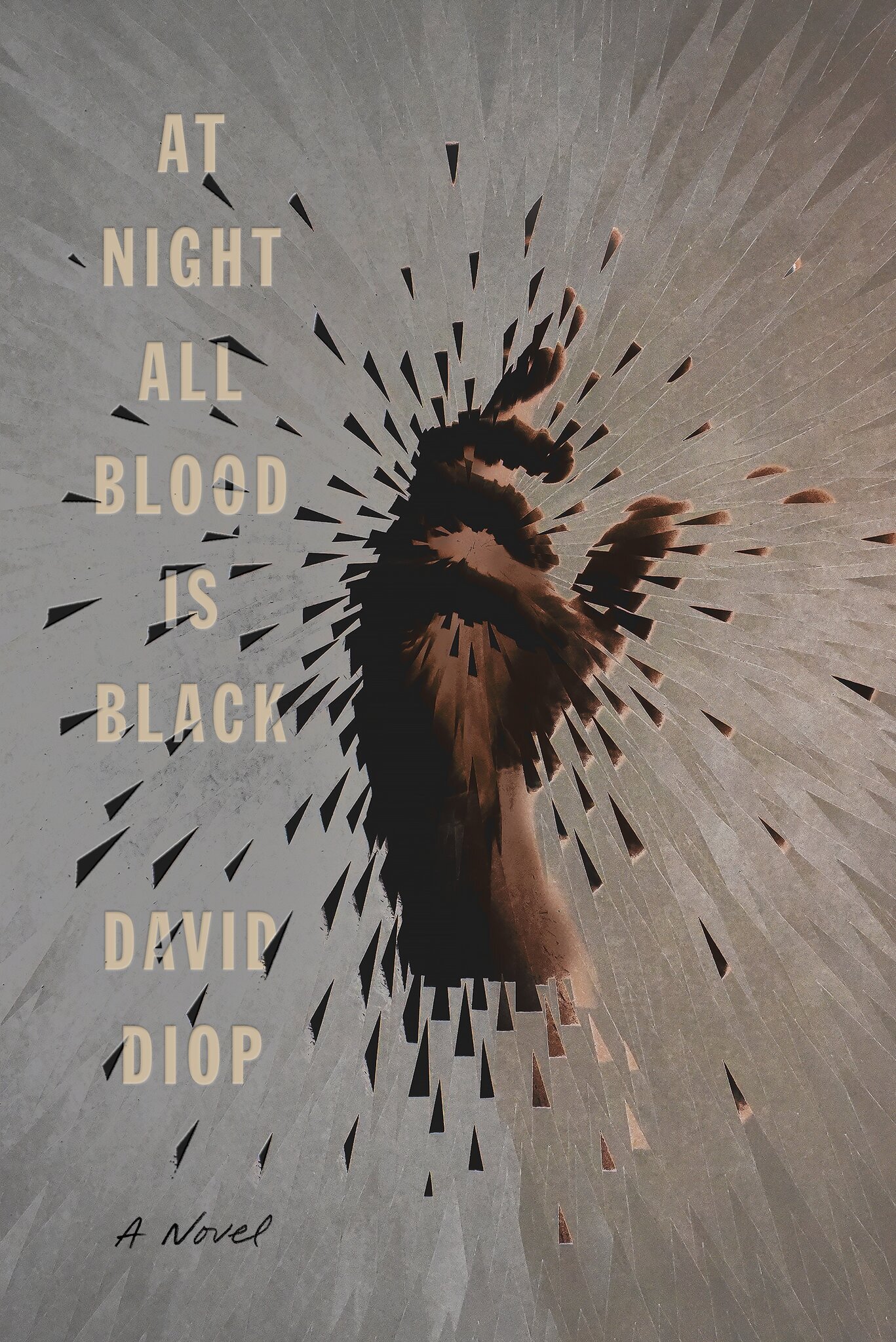 At night alle blood is black David Diop